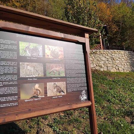 Vila Trnoruzica Tuhelj Zewnętrze zdjęcie