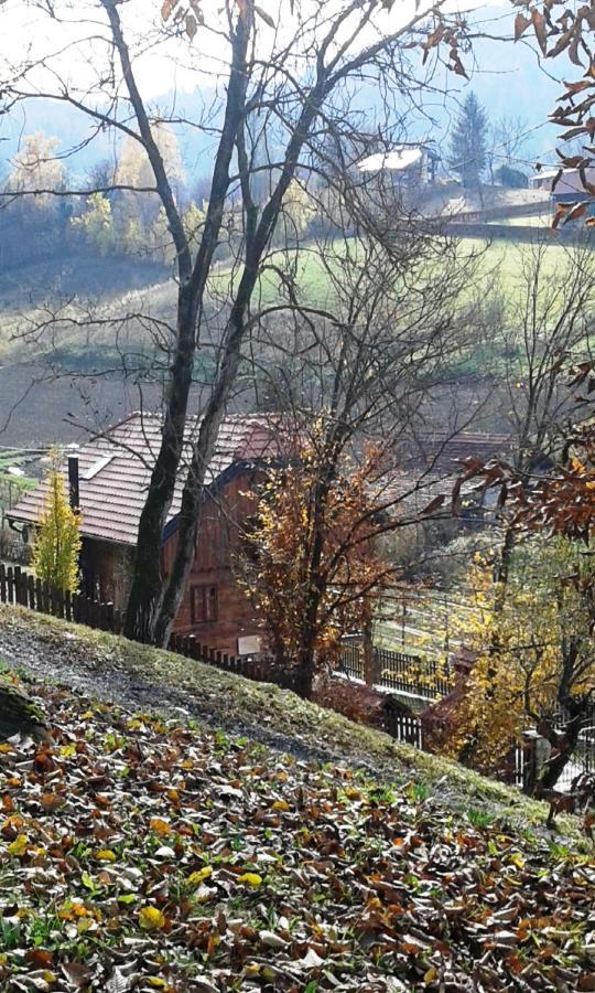 Vila Trnoruzica Tuhelj Zewnętrze zdjęcie